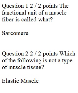 Week 12 Unit Exam 4